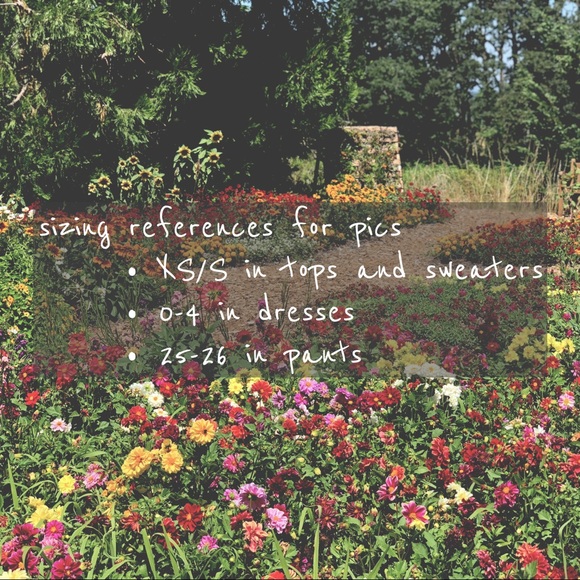 🐝🐝 - Picture 4 of 7